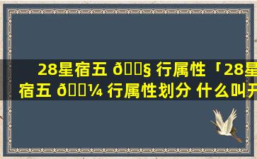 28星宿五 🐧 行属性「28星宿五 🐼 行属性划分 什么叫开门防水」